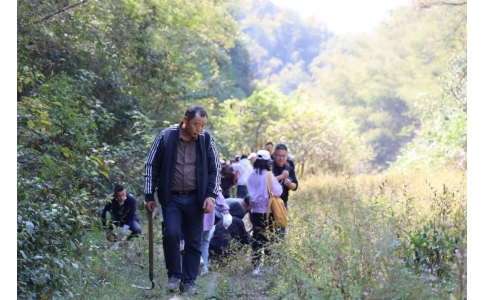 踏秋尋寶，聞香識(shí)藥！首屆神農(nóng)杯野外識(shí)藥大賽在株洲鳳凰山景區(qū)成功舉辦！