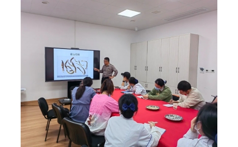 提高鑒定技能 傳承特色技術——漢方神農中醫(yī)館中藥材鑒別培訓活動紀實