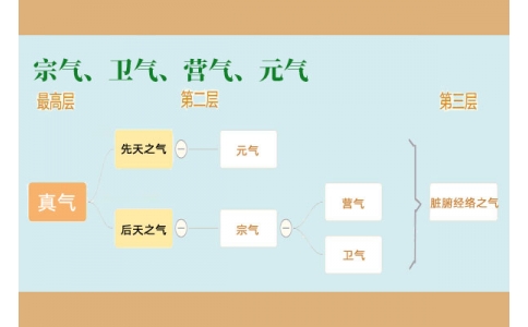 中醫(yī)里的“宗氣”、“衛(wèi)氣”、“營氣”、“元氣”